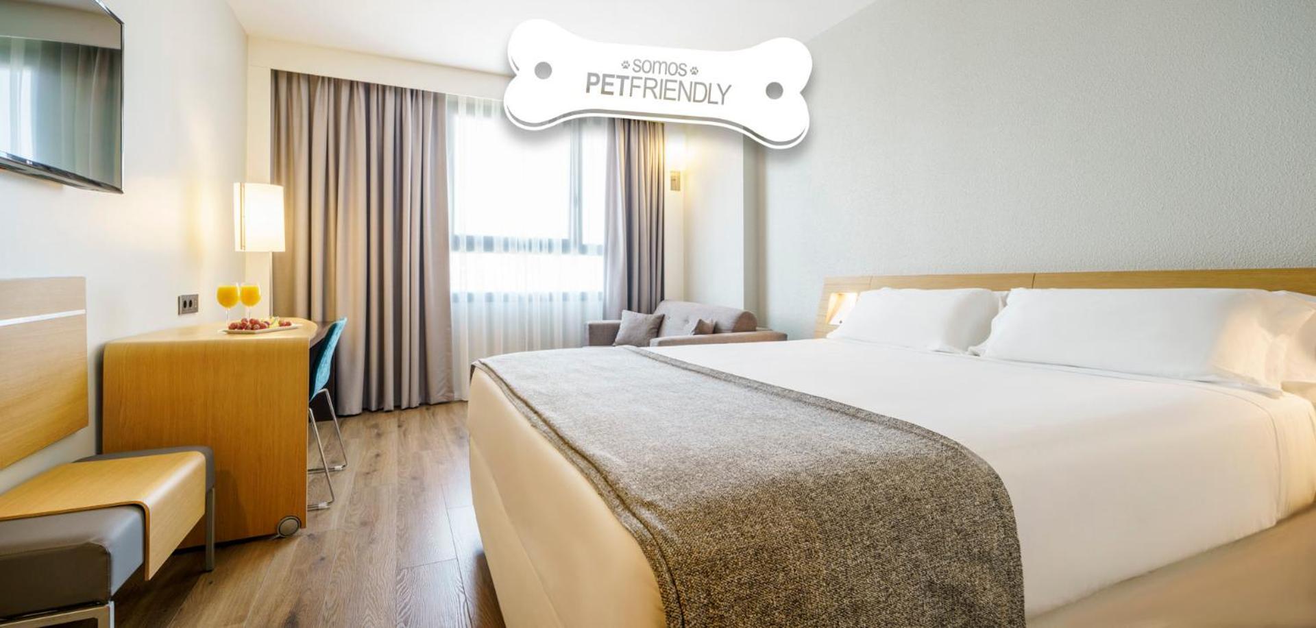 Double Room Pet Friendly